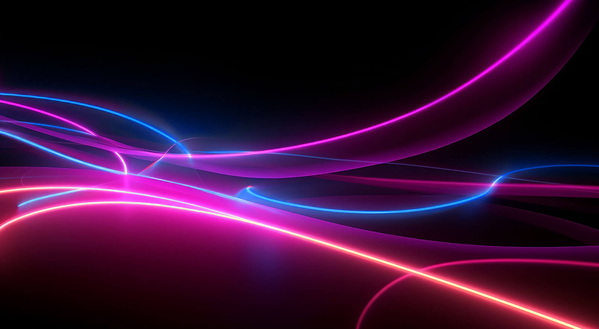 Identity solutions built for a digitally native world